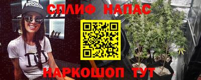 a pvp Краснодар