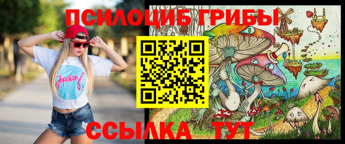 Галлюциногенные грибы GOLDEN TEACHER Долгопрудный