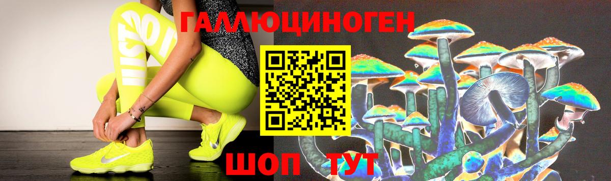 Долгопрудный  Галлюциногенные грибы Magic Shrooms  Вход с VPN 
